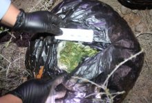 Двоих мужчин с целой сумкой марихуаны задержали в Кызылординской области