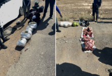 Наркодилер и браконьер садятся в машину: задержание в Улытауской области