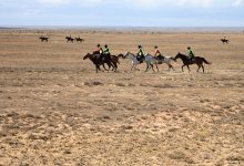 "Ұлы-дала жорығы": девушки-всадницы покинули соревнования