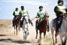 "Ұлы дала жорығы": всадники прошли половину пути марафона-байги