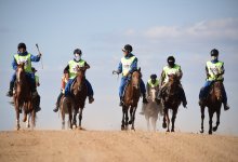 Объявлен победитель восьмого этапа марафона-байги "Ұлы дала жорығы"
