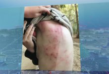 Избиение школьника в Павлодаре: родители требуют наказать свидетелей