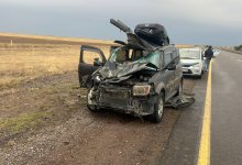 Мужчина погиб в ДТП с выбежавшей на трассу лошадью в Жетысу