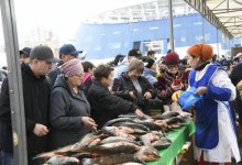 Что можно купить на ярмарке кызылординских аграриев в Астане