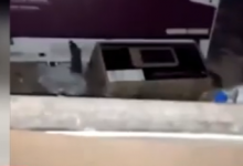 Жильцы новостройки соседствуют с кучей крыс в Актобе (ВИДЕО)