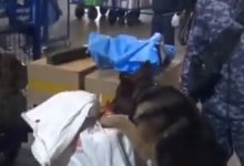 Получили наркотики посылкой из США: суд Астаны вынес приговор