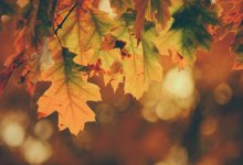 Какая погода ожидает казахстанцев в выходные