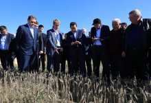 Почти 17 миллиардов тенге хотят направить на помощь фермерам Костанайской области