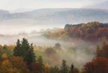 Туман и порывистый ветер ожидаются по Казахстану