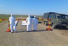 Подозрение на сибирскую язву: режим ЧС сняли в селе Жетыжар