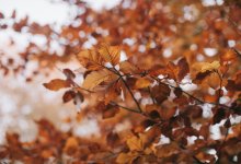 Какая погода ожидает казахстанцев 29 сентября