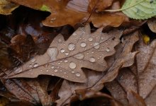 Холодные выходные ожидают казахстанцев