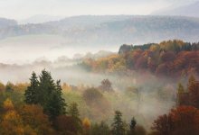 Грозу и туман прогнозируют на половине территории Казахстана