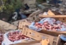 Свалку куриных остатков обнаружили на пустыре в Караганде (ВИДЕО)