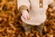 Теплая погода без осадков ожидает казахстанцев