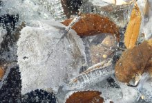 Заморозки и туман ожидаются в Астане и девяти областях Казахстана