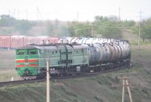 Стадо овец попало под поезд в СКО