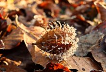 Туман, сильный ветер и заморозки ожидаются в 12 областях Казахстана