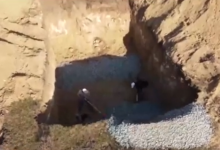 Систему раннего обнаружения лесных пожаров устанавливают в "Ертiс орманы"