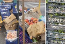 Овощи и фрукты ящиками на свалке: видео с рынка возмутило Казнет