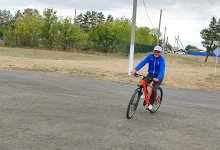 Сельская картина маслом