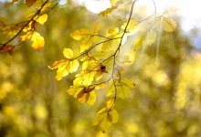 Ясная погода ожидается на большей части территории Казахстана