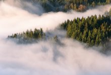 Усиление ветра и туманы прогнозируют по Казахстану