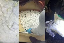 Мастер маникюра перевозила крупную партию "синтетики" из Астаны