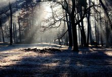 Туман и сильный ветер прогнозируют на западе и севере Казахстана