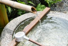 30-35% сельчан по сей день пользуются колодцами — сенатор о районе в Туркестанской области