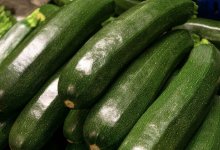 Огурцы гигантских размеров вырастила жительница Павлодара