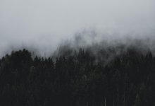 Туманы и усиление ветра ожидаются 22 октября в Казахстане