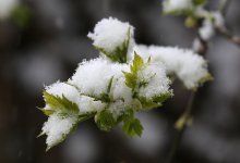 Штормовое предупреждение объявили в Астане и 12 областях Казахстана