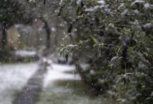 Штормовое предупреждение объявили почти по всему Казахстану