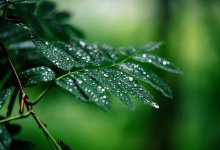 Осадки ожидаются на большей части территории Казахстана