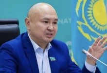 Привлечь "АрселорМиттал" к уголовной ответственности призвал депутат от AMANAT