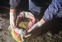 Гашиш и марихуану в крупном размере сбывали в Жамбылской области