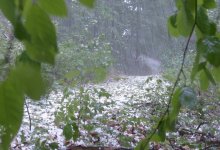 Дождь и снег ожидаются на большей части территории Казахстана