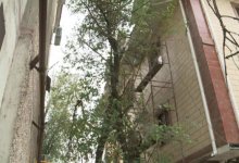 “Слышно охи-ахи”: на соседство с гостиницей пожаловались жители одного из домов Шымкента