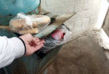 На многоэтажный затор в мусоропроводе жалуются жители высотки в Актау