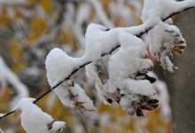 Сильные осадки, гололед прогнозируют по Казахстану