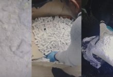 Казахстанские полицейские изъяли 250 кг наркотиков за неделю