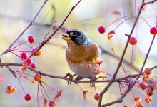 Постепенное потепление ожидает казахстанцев