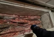 Жители ЗКО поставляли рыбу по поддельным документам на рынки Уральска (ВИДЕО)