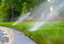 Довести площадь озеленения до 12 квадратов на человека намерены в Алматы