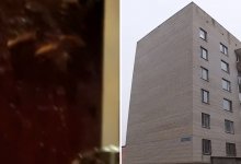 Тараканы и мыши из-за самсы терроризируют многоэтажку Астаны