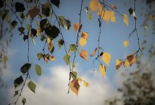 Ясная погода установится на большей части территории Казахстана