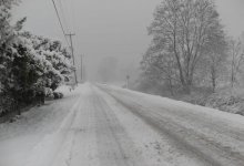 Снег и метель прогнозируют на востоке Казахстана