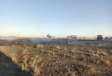 Из-за детских шалостей сгорело сено на четыре миллиона в области Абай