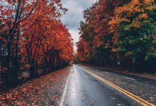 Штормовое предупреждение объявили в Астане и 12 областях Казахстана